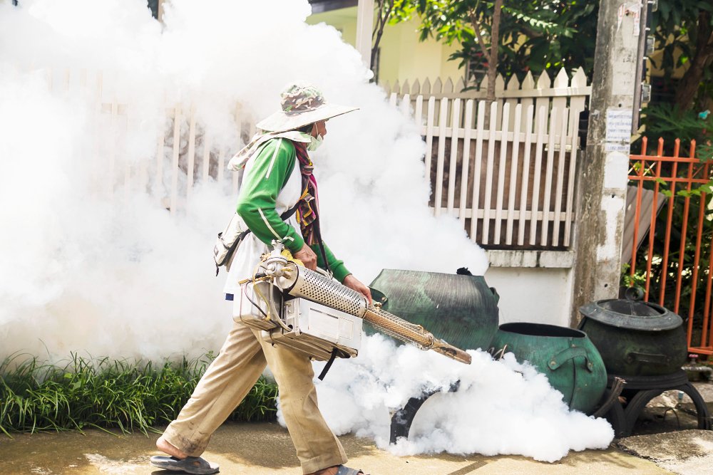 residential mosquito control